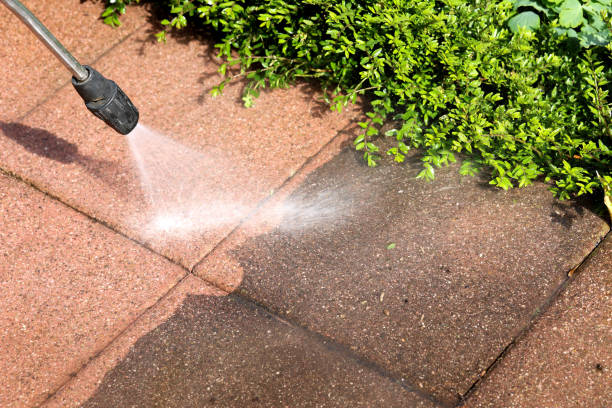 Best Exterior Home Cleaning  in Highlands, CA